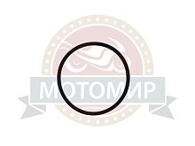 Кольцо впускного коллектора Тайга резиновое С40500025