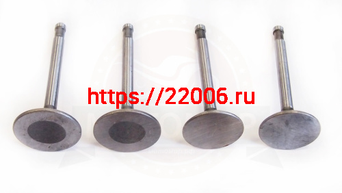 Клапана Днепр (комплект) (кол-во в упак. 100 компл.)