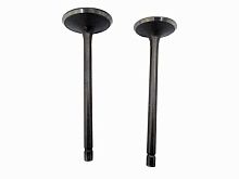 Клапана ГБЦ LF120 (2шт d27.5 + d23)