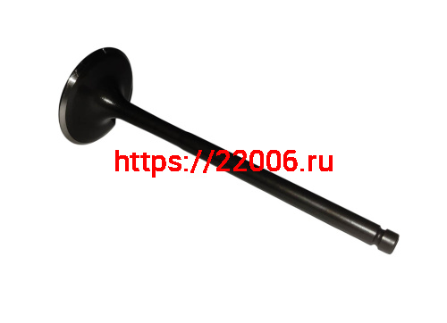 Клапан впускной NB300  ZS (174MN-5) (100159115) фото 2